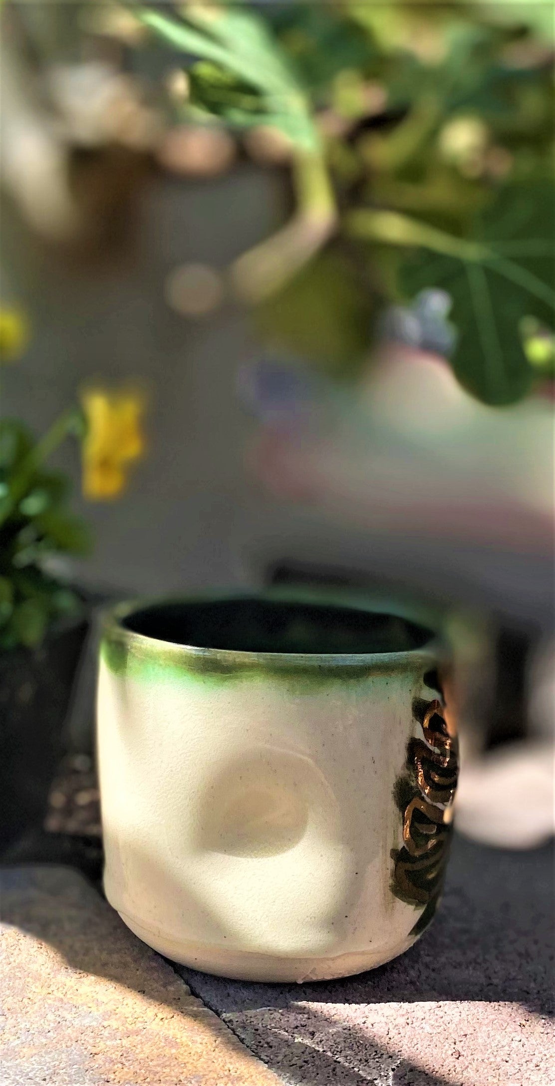Monstera thumb cup 2