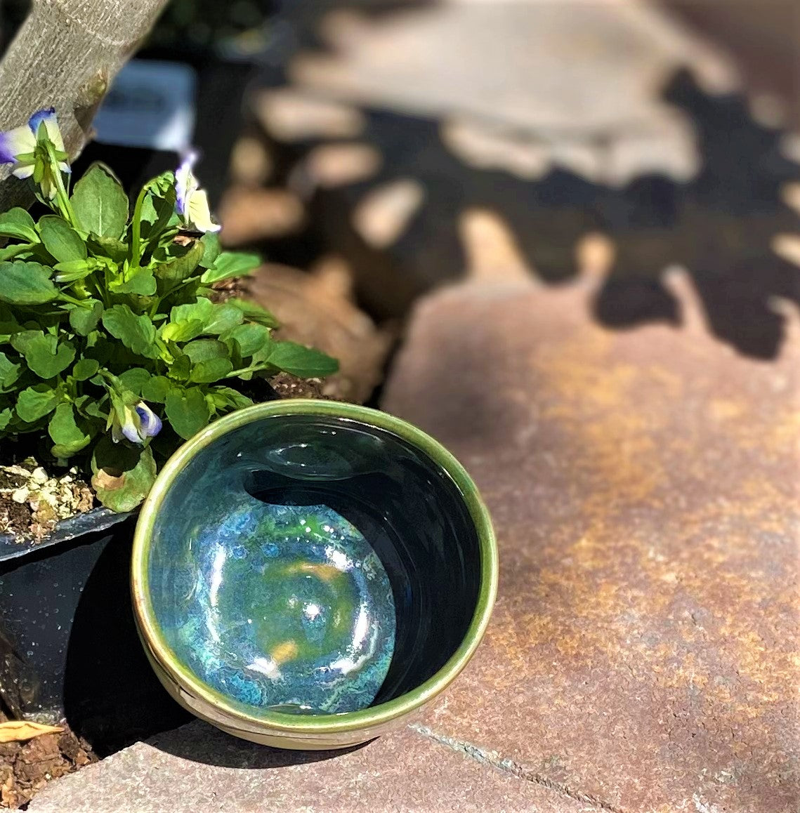 Monstera thumb cup 2