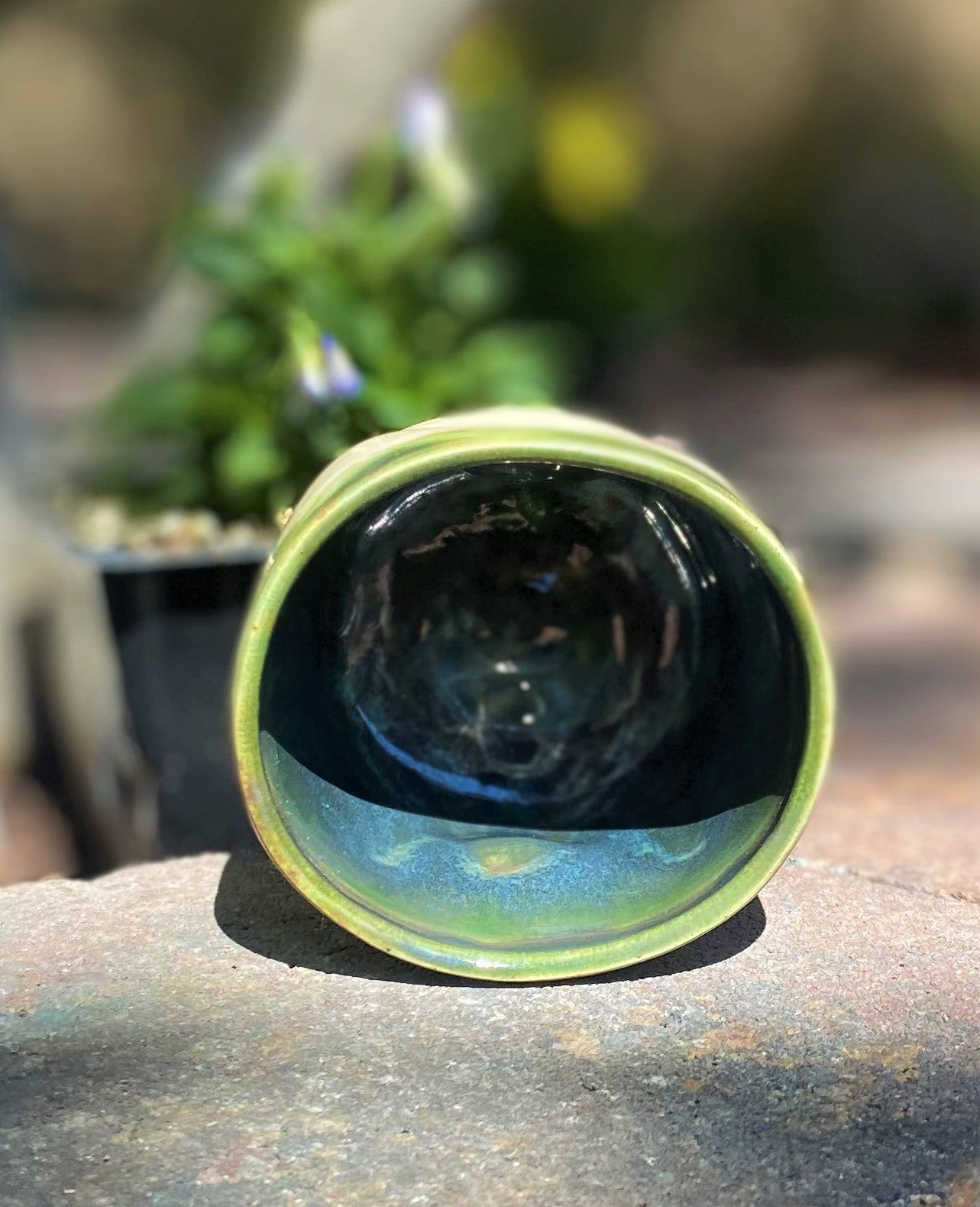 Monstera thumb cup 2