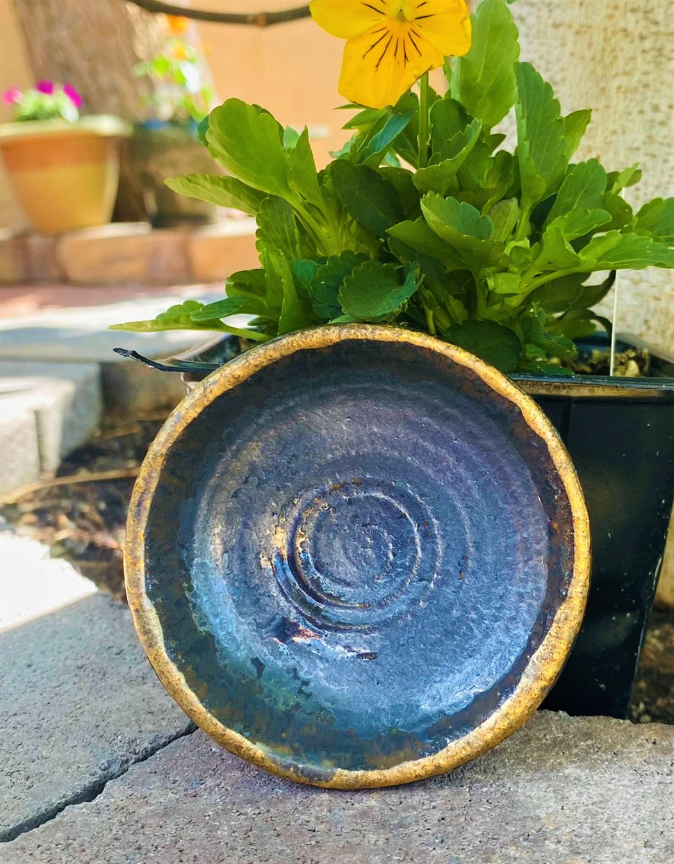 Dark Blue Grey Metallic Matte Miniature Bowl w/ Old Gold Rim