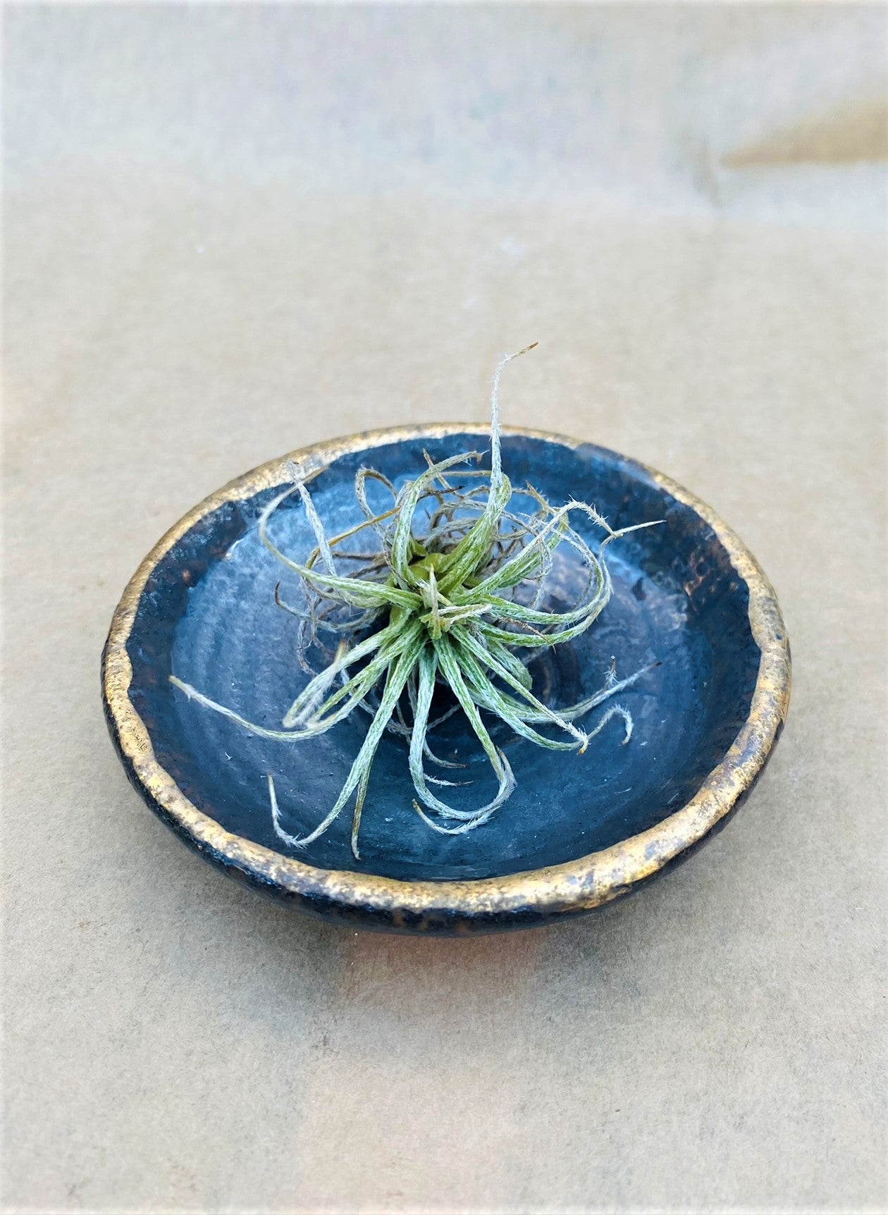 Dark Blue Grey Metallic Matte Miniature Bowl w/ Old Gold Rim