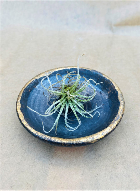 Dark Blue Grey Metallic Matte Miniature Bowl w/ Old Gold Rim