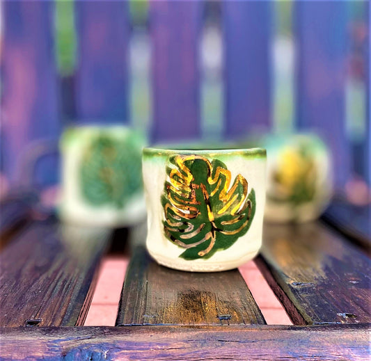 Monstera thumb cup 2